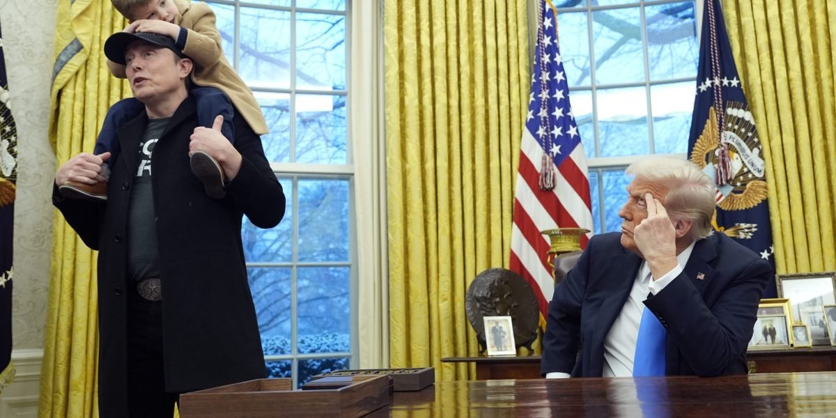 Trump oferece elogios mistos a Elon Musk - 'INDIDADE DE QI SUPERIOR' que tem suas falhas