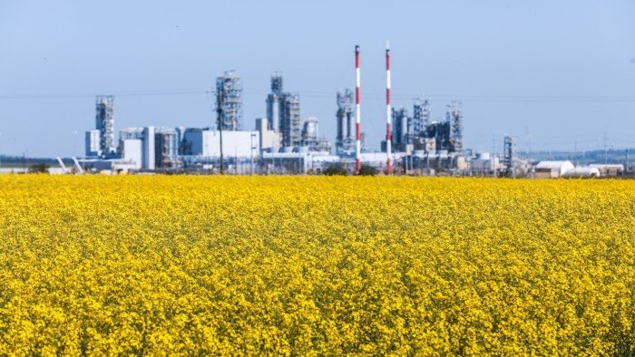 A vibrant field of blooming canola flowers stretches across the foreground, with a large industrial chemical plant visible in the background under a clear blue sky in rural Alberta, Canada