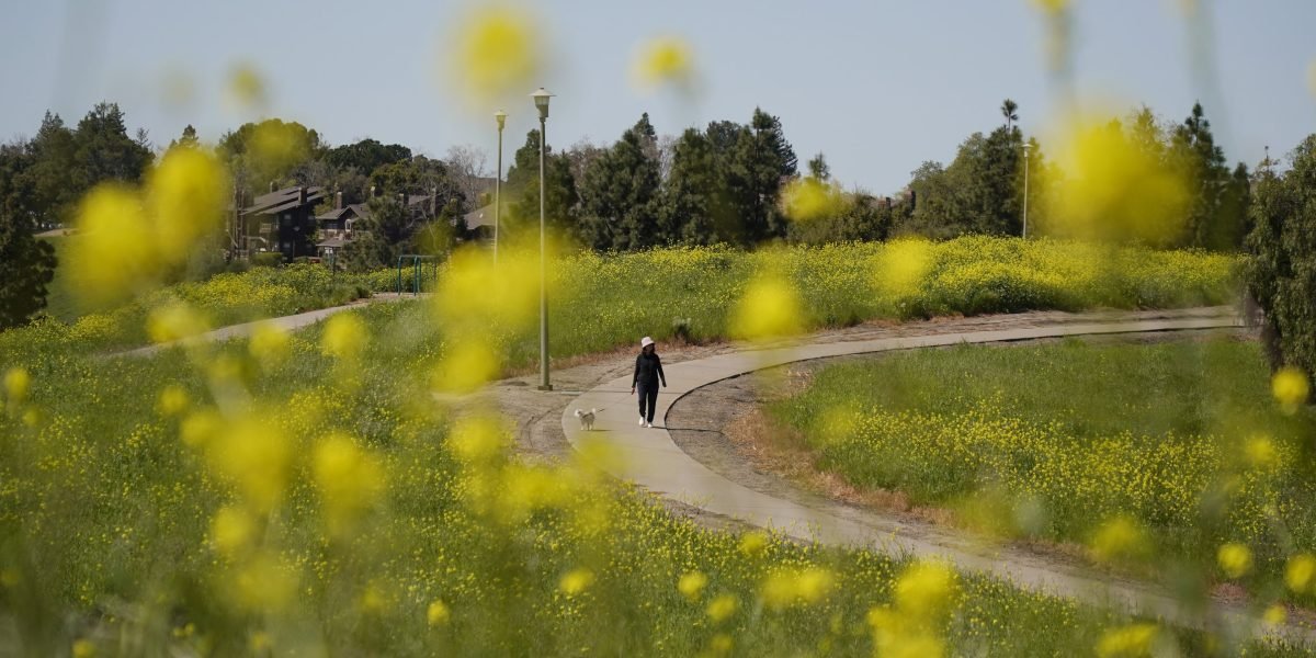 A cidade mais feliz da América: mais de mil acres de parques, temperaturas médias nos anos 60 e uma economia movimentada