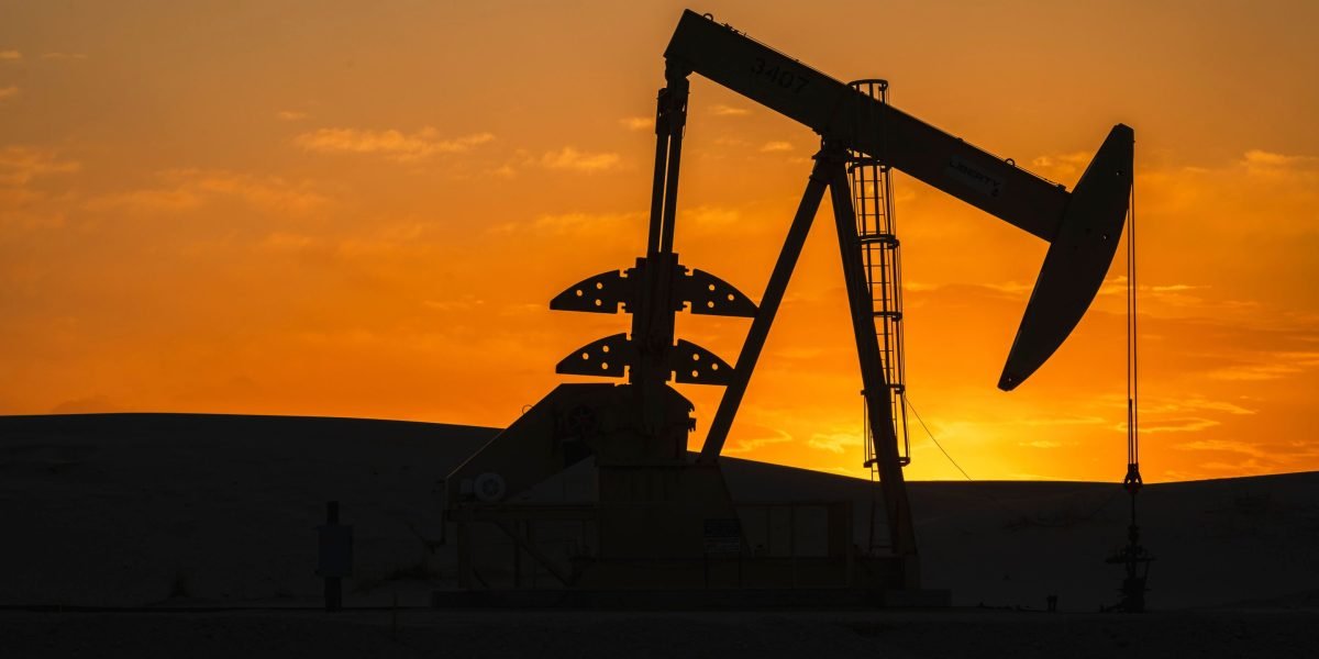 Alguns executivos de petróleo dos EUA veem o desastre na agenda de Trump enquanto demitem 'exercícios, bebê, broca' como um 'mito e grito populista para gritar'