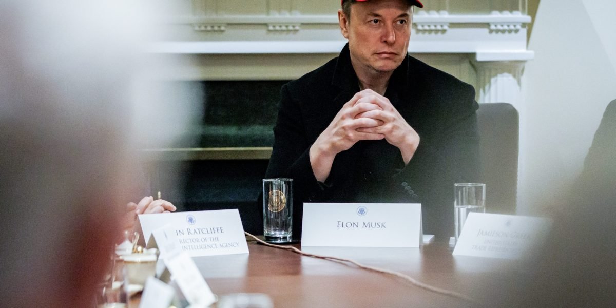 Os acionistas da Furious Tesla têm 2 opções principais para defender uma mudança