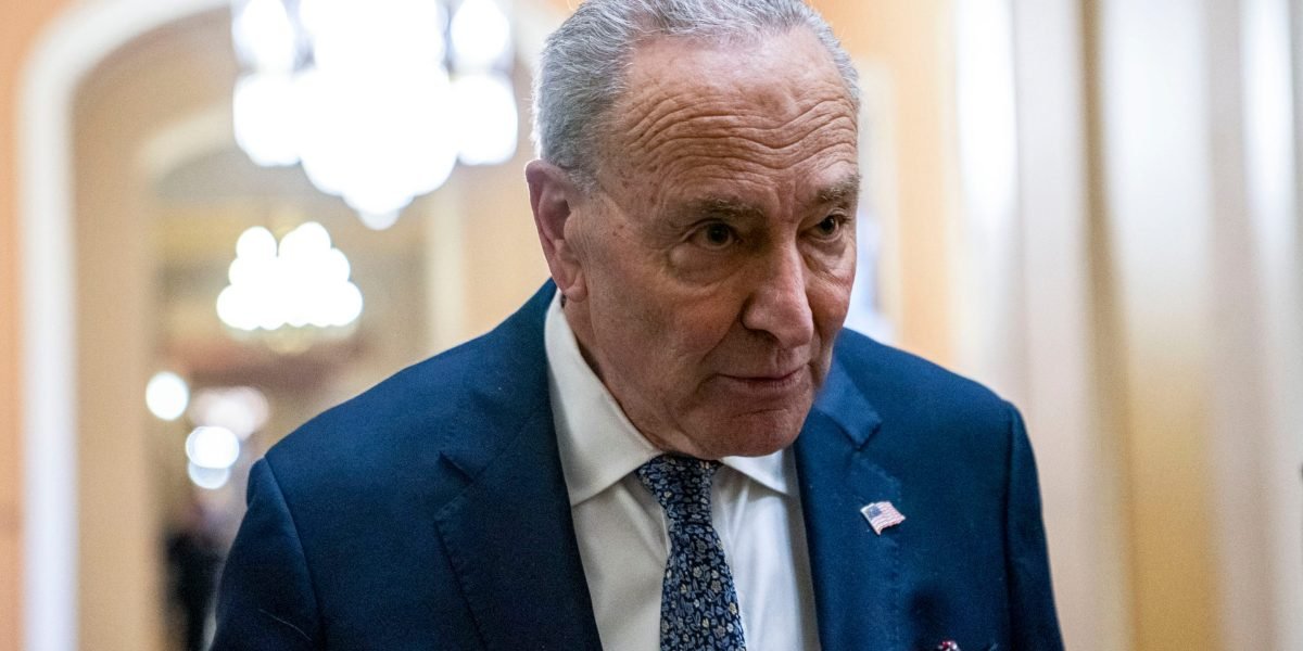 Schumer vê os americanos subindo se Trump desafia as ordens judiciais