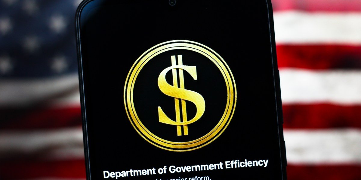 Sou um veterinário da Marinha que foi demitido por Doge. Estou impotente assistindo o serviço Fifle To Elon Musk