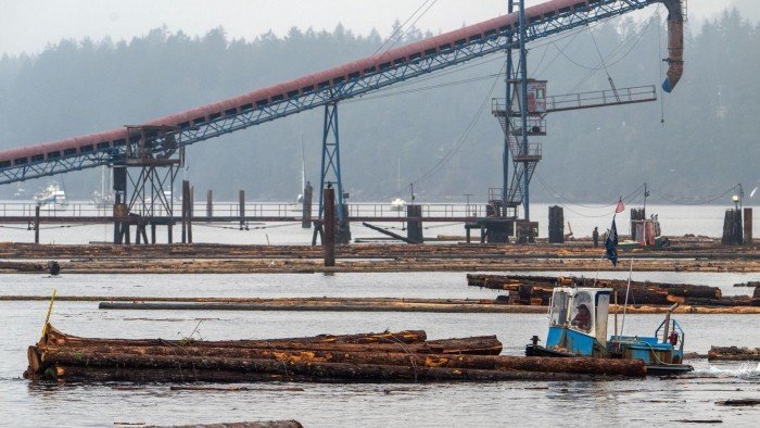 Trump ordens investem em suposto dumping de madeira serrada no mercado dos EUA