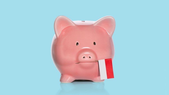 Carl Godfrey illustration of a pink piggy bank holding an Indonesian flag in its mouth.