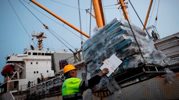 A dock worker unloads squid from the Falkland Islands