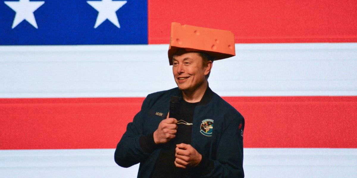 'Notícias falsas' - Elon Musk Dashes, de Tesla, o investidor espera que ele finalmente esteja deixando a política, insistindo que ele não vai a lugar nenhum