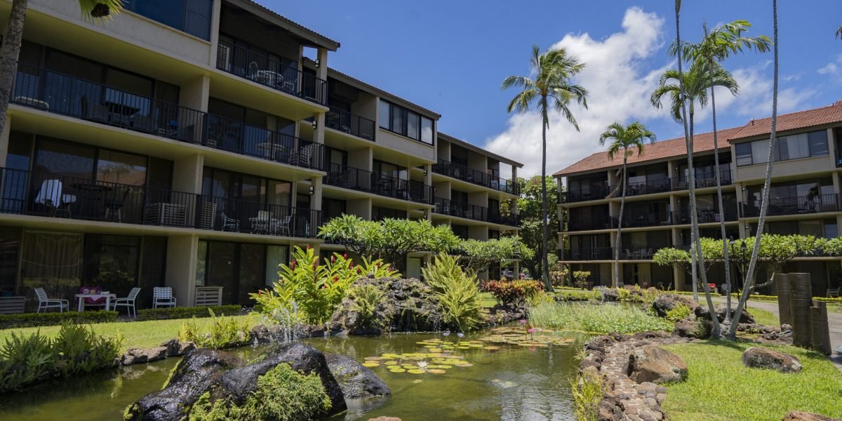 O prefeito de Maui quer proibir o Airbnbs para tornar a habitação mais acessível para os habitantes locais. Os pesquisadores dizem que isso pode causar um choque econômico