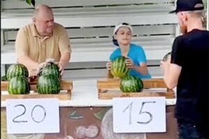 Preços competitivos começam com dados